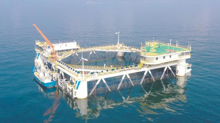 經略海洋|煙臺海洋牧場“百箱計劃”助力鄉村振興，帶動傳統漁業轉型升級