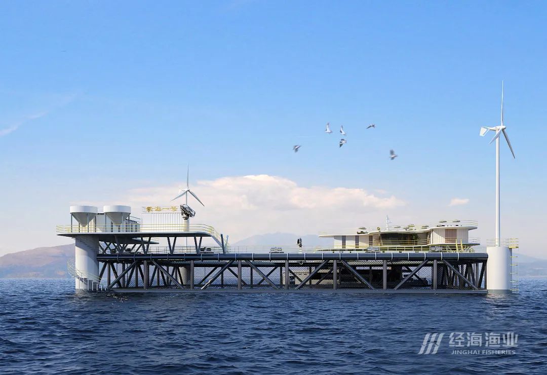 帶你了解經海網箱“海底世界”——經海漁業“類野生”養殖模式